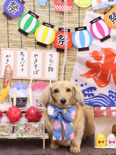 20240706モカちゃん